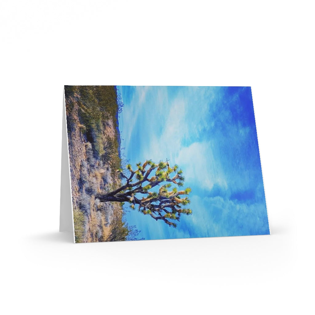 Greeting cards (8, 16, and 24 pcs), Joshua Tree at the Wee Thump Joshua Tree Wilderness, Nevada