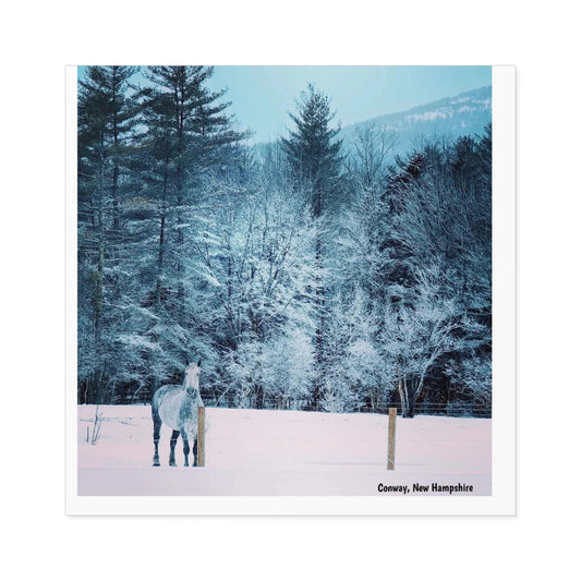 Square Stickers, Indoor\Outdoor, Horse during snowstorm, Conway, New Hampshire