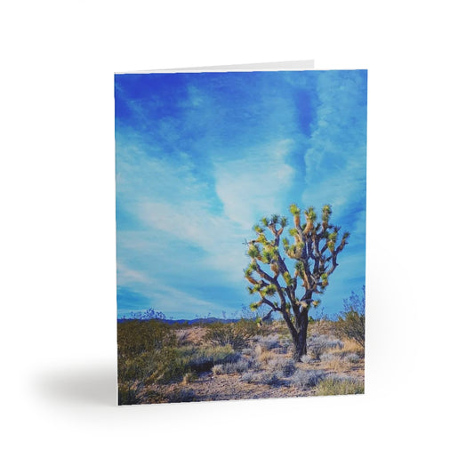 Greeting cards (8, 16, and 24 pcs), Joshua Tree at the Wee Thump Joshua Tree Wilderness, Nevada